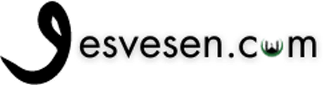 Vesvesen.com