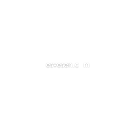 Vesvesen.com