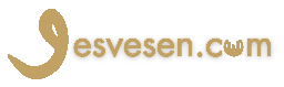 Vesvesen.com